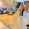 Golden tail duppata with all over lase & qabool hai